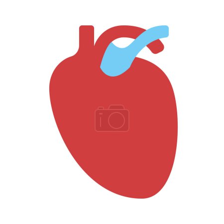Téléchargez les illustrations : Anatomic Heart Organe icône médicale - en licence libre de droit