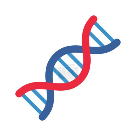Illustration for Dna stand vector icon on white background - Royalty Free Image