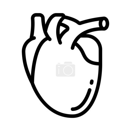 Illustration for Human heart anatomy icon, outline style - Royalty Free Image