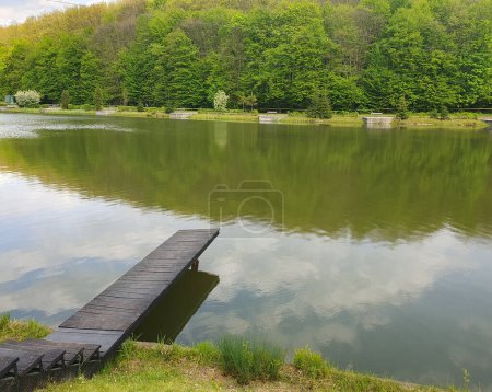 Lake, fishing spot, deciduous forest behind the lake, nature