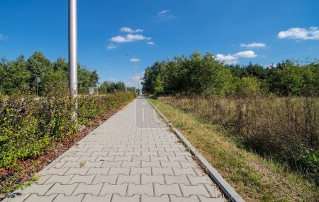 Route dans le parc d'été.Une promenade le long de la route menant à travers les zones forestières. Un trottoir le long de la route menant à travers les zones forestières urbaines (à Ostrowiec) un matin de septembre .  