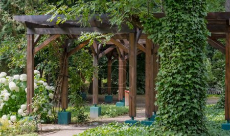 Beautiful flowers in the garden. Wooden pergola (gazebo) in the park among rich vegetation. The initial phase of summer in a city park among lush vegetation and lots of flowers and elements of garden architecture. 
