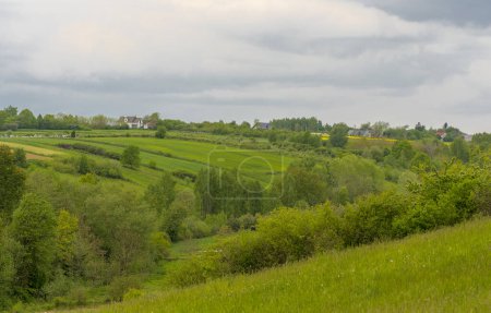 paysage avec herbe verte et ciel bleu.Belle nature dans la région vallonnée de Mychow (Swietokrzyskie) à la hauteur du printemps. Ressort autour d'Ostrowiec. Belles collines verdoyantes avec des champs fleuris et des prairies émeraudes sous un ciel nuageux.  