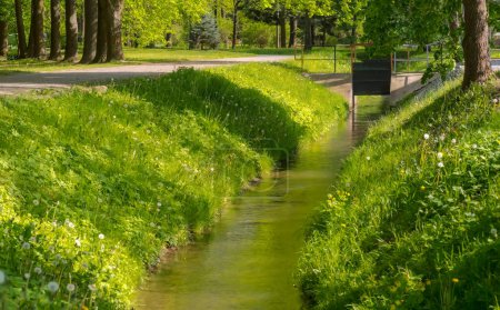 Frühlingslandschaft mit Fluss und Fluss. Entwässerungskanal inmitten frühlingshaften städtischen Grüns. Schöne Grünflächen in der Stadt auf dem Höhepunkt der Frühjahrsentwicklung .  