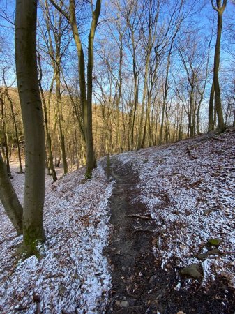 Wanderweg durch den winterlichen Buchenwald am Nationalpark Kellerwald-Edersee in Deutschland.
