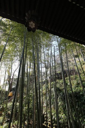 Kamakura, Japon - 4 mars 2024 : Hase-kannon temple vue du niveau supérieur forment un temple latéral au bambou et les escaliers jusqu'à la garde supérieure