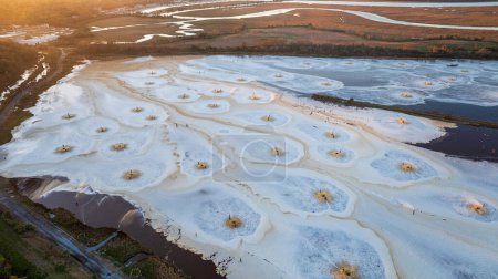 Photo for Aerial view of effluent discharge from a pulp and paper mill into a water body. - Royalty Free Image