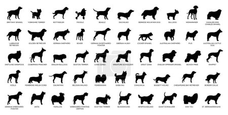 Téléchargez les illustrations : Ensemble de silhouette Dog Breeds - en licence libre de droit