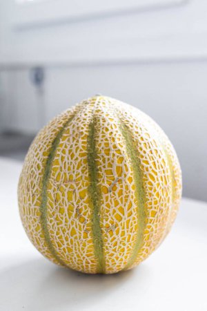 A small French melon on a white kitchen table.