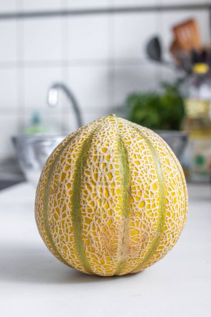 Eine kleine französische Melone auf einem weißen Küchentisch.