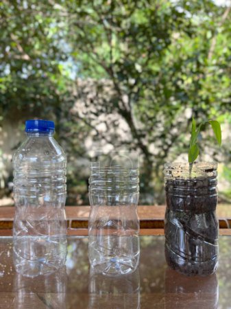 Recycle plastic bottles into plant pots