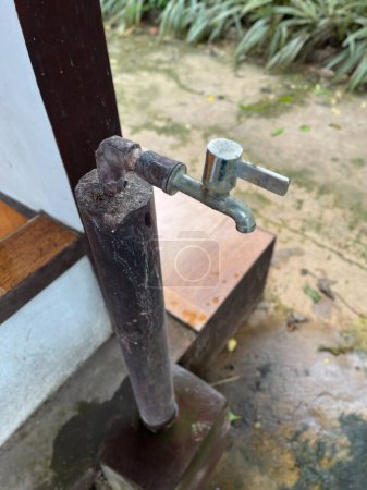 Faucet and hose for watering plants