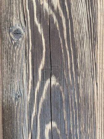 Foto de Textura de madera vieja, fondo de madera, madera marrón oscura - Imagen libre de derechos