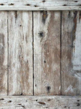 Photo for Wood texture with natural patterns. background of old planks - Royalty Free Image