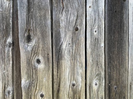 Foto de Textura de madera vieja, fondo natural - Imagen libre de derechos