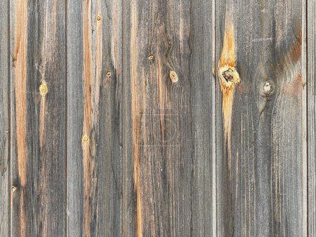 Téléchargez les photos : Texture bois. vieux panneaux en bois. fond en bois avec vieilles planches - en image libre de droit