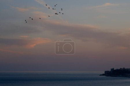 Téléchargez les photos : Côtes de mer en soirée. Méditerranée voir. Côte d'Azur. Provence. - en image libre de droit