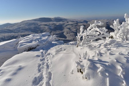Téléchargez les photos : Beau paysage avec montagne enneigée dans les montagnes Slovaquie - en image libre de droit