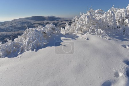 Winterlandschaft des Vitosha-Gebirges, Vihorlat