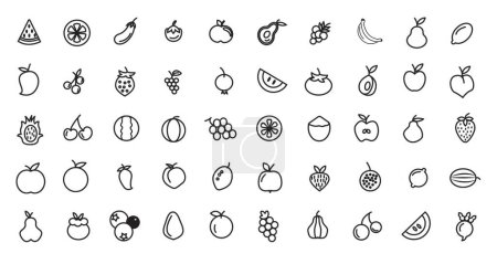 Creativas frutas verduras icono paquete de frutas alimentos vegetales simple conjunto de iconos de línea vectorial