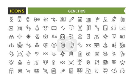Illustration for Genetics Icons Set, Set Of Genes, Dna Structure, Chromosomes, Genetic Engineering, Test Tubes, Microscope, Science Lab Vector Icon With Editable Stroke, Vector Illustration - Royalty Free Image