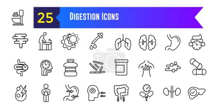 Téléchargez les illustrations : Icônes de digestion réglées. Aperçu ensemble d'icônes vectorielles de digestion pour la conception ui. Aperçu de la collection d'icônes. Course modifiable. - en licence libre de droit