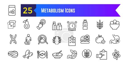 Metabolismus-Symbole geben Umrissvektoren vor. Oberkörpergesundheit. Detox-Bilanz. Umrissene Symbolsammlung. Essbarer Schlaganfall.