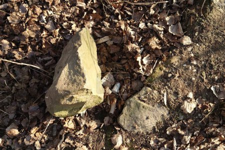 geocache hidden under the stone, outside, geocaching game