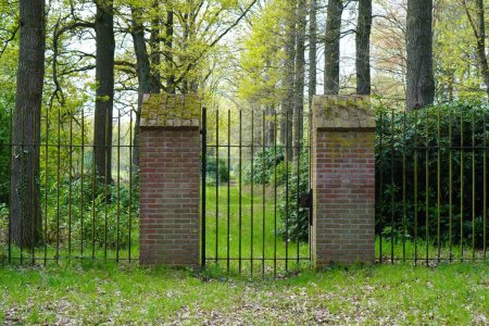Magisches altes Ziegeltor mit eisernem Zaun im Wald in den Niederlanden