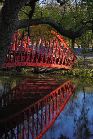 A modern red bridge behind a tree, crossing a river, mirroring in the water