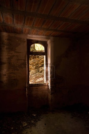 Téléchargez les photos : Cadre de fenêtre en bois d'une maison abandonnée dans la forêt - en image libre de droit