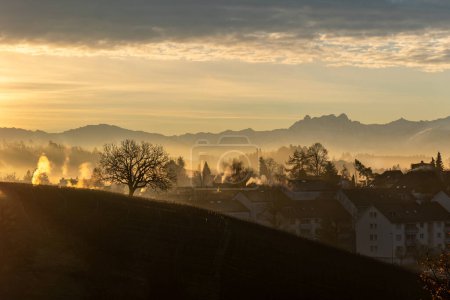 Téléchargez les photos : Lever de soleil d'hiver dans la région Zurcher Oberland avec les Alpes en arrière-plan - en image libre de droit