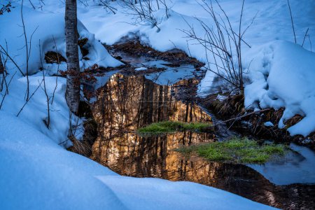 Téléchargez les photos : Réflexion d'une montagne ensoleillée sur le ruisseau à l'intérieur d'une forêt - en image libre de droit