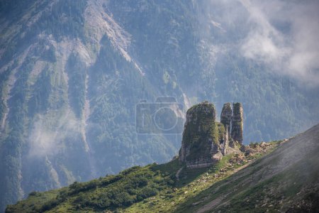 Braune Jungkuh auf einem Gipfel der Schweizer Alpen 