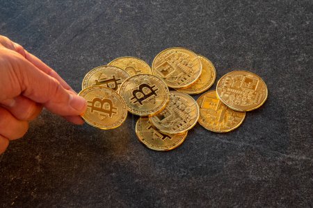 Foto de Manos sosteniendo y contando monedas bitcoin - Imagen libre de derechos