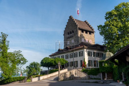 Téléchargez les photos : Château d'Uster et ses environs par un matin d'été clair - en image libre de droit