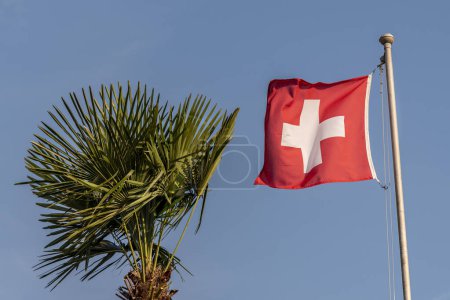 Téléchargez les photos : Drapeau suisse avec un palmier contre le ciel bleu - en image libre de droit