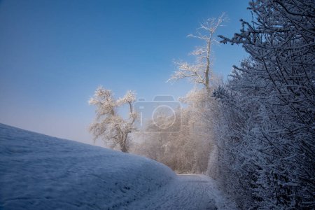 Photo for Frozen road in Uster, Switzerland - Royalty Free Image