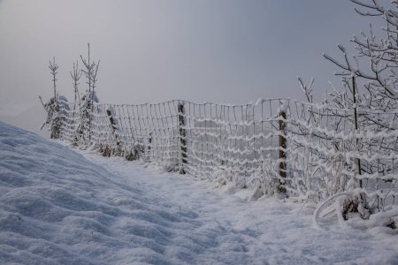 Téléchargez les photos : Vieille clôture filaire congelée à l'extérieur - en image libre de droit