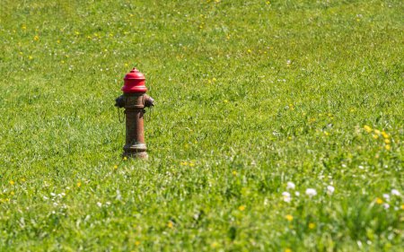 Foto de Un hidrante aislado en medio de un campo verde en primavera - Imagen libre de derechos