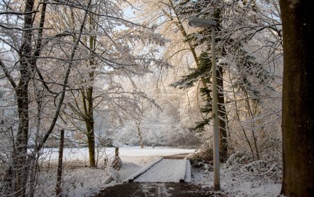 Foto de Paisaje invernal con un pequeño puente en el bosque - Imagen libre de derechos
