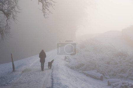 Téléchargez les photos : Réveiller le chien par un matin d'hiver froid et brumeux - en image libre de droit