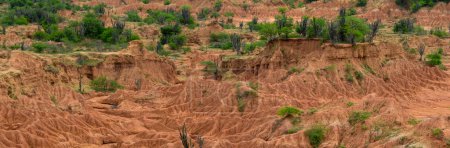 Foto de Un desierto rojo árido. Tatacoa, Colombia - Imagen libre de derechos