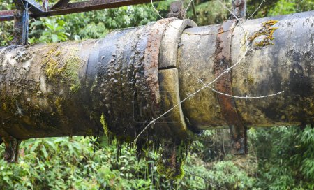 Téléchargez les photos : Un vieux tuyau rouillé dans la jungle - en image libre de droit