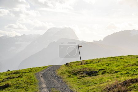 A walking path through the alpine mountains