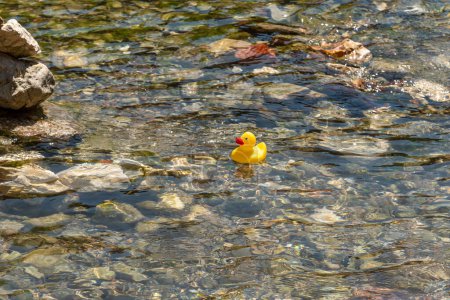 Pato de goma flotando en el agua del río Le Thiou en Annecy, Francia
