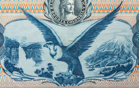 Foto de Imagen de cóndor en un viejo peso colombiano de billete - Imagen libre de derechos