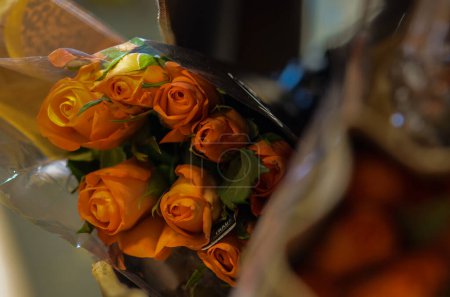 orange imported roses in a box