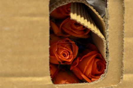 Photo for Orange imported roses in a box - Royalty Free Image