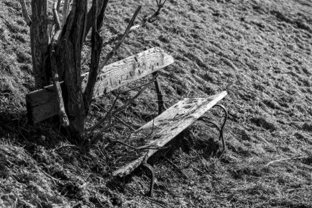 Téléchargez les photos : Vieux banc en bois dans les montagnes avec un arbre qui a grandi à travers elle - en image libre de droit